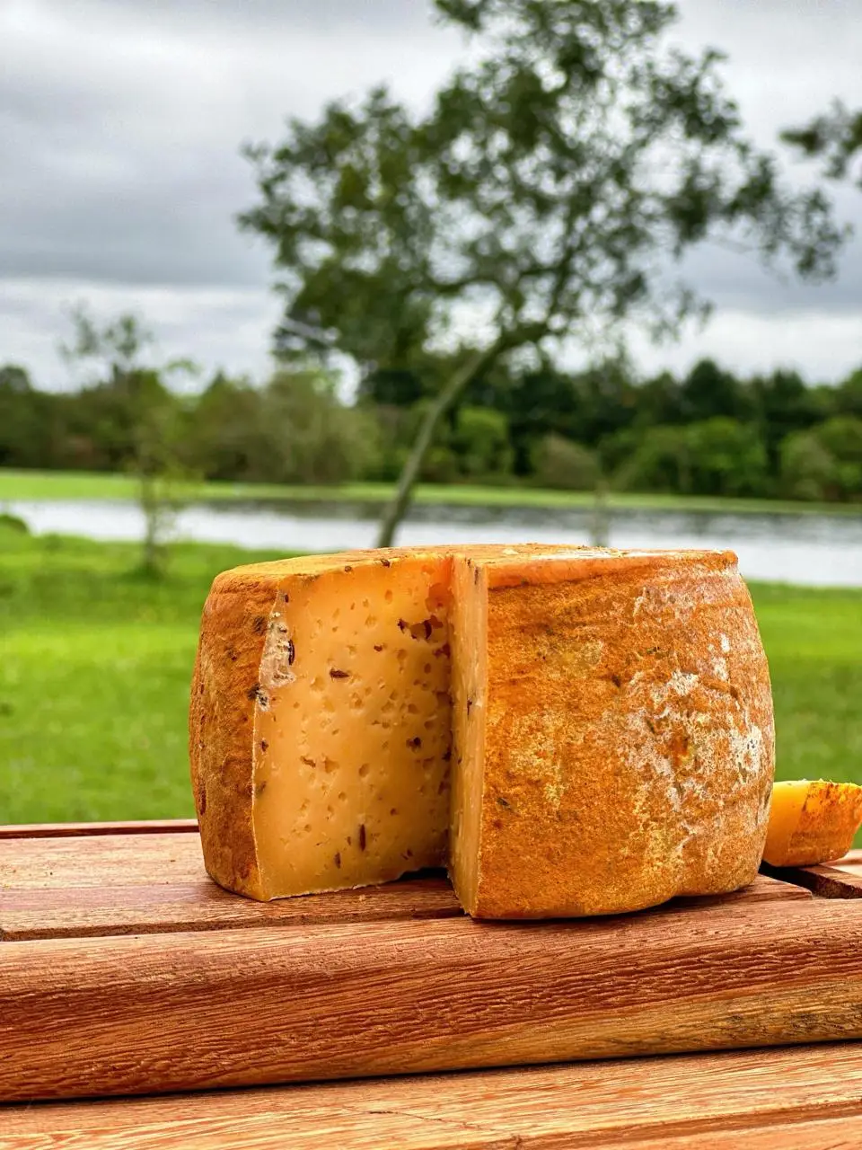 Queijo Cortado